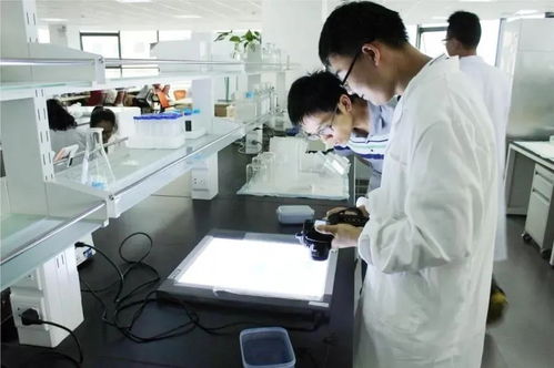 無錫通信技術開發 鑄就未來產業支柱，三分天下有其一