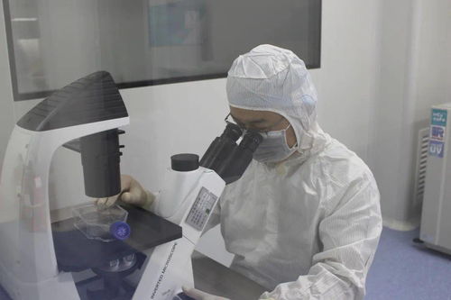 諾未科技 生命科學研究再創新，生物技術研發新突破