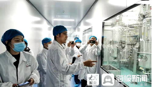 石藥集團煙臺生物醫藥高科技產業園 打造全國最大生物醫藥產業化基地，融合通信技術開發新動能