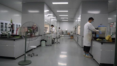 千帆競發浪潮涌 三門以通信技術開發為抓手，全力打造接滬融甬先行區