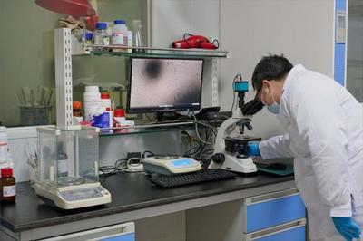 以生物造萬物 合成生物產(chǎn)業(yè)化提速，開啟生物技術(shù)研發(fā)新紀元
